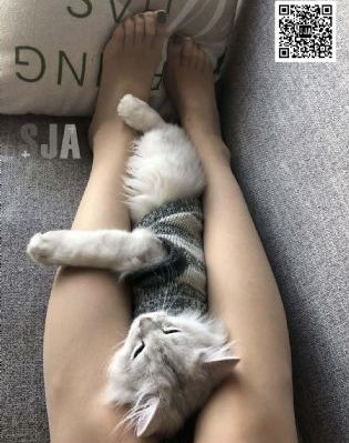 上瘾16集到20集免费观看_1080P免费观看电视剧