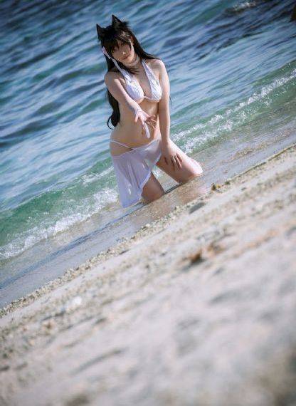 主妇的战争电视剧免费观看全集_高清完整版免费全集免费观看